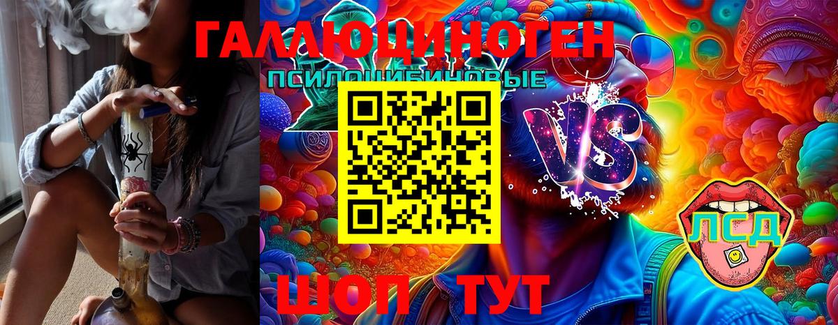 Санкт-Петербург  Псилоцибиновые грибы Magic Shrooms  Вход с VPN 