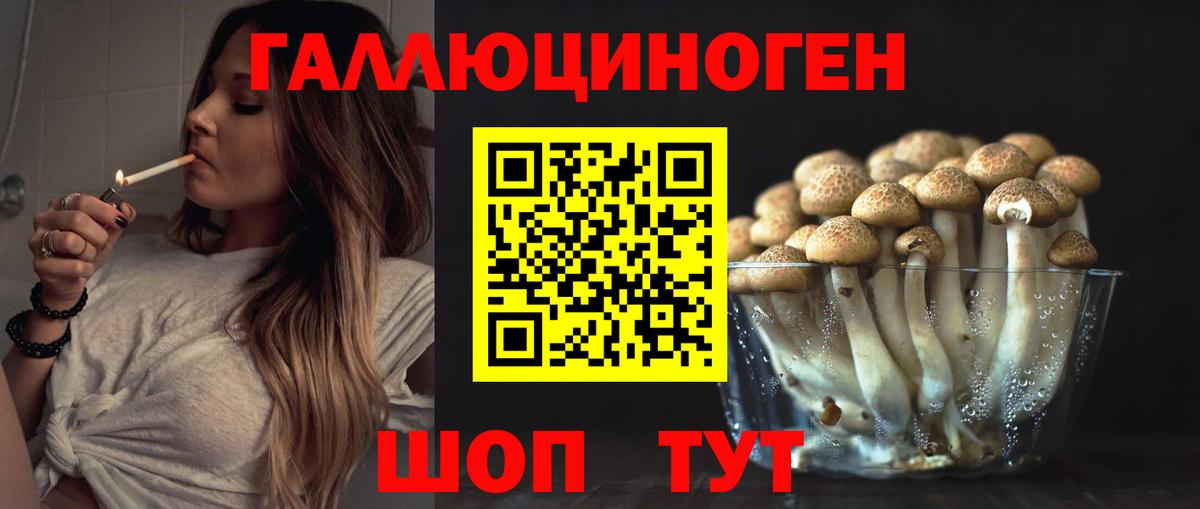 Псилоцибиновые грибы GOLDEN TEACHER Санкт-Петербург